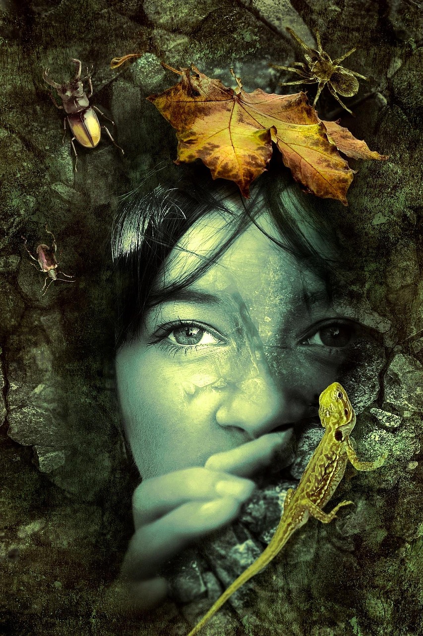 医妃冥婚最新章节探秘，神秘婚姻背后的故事
