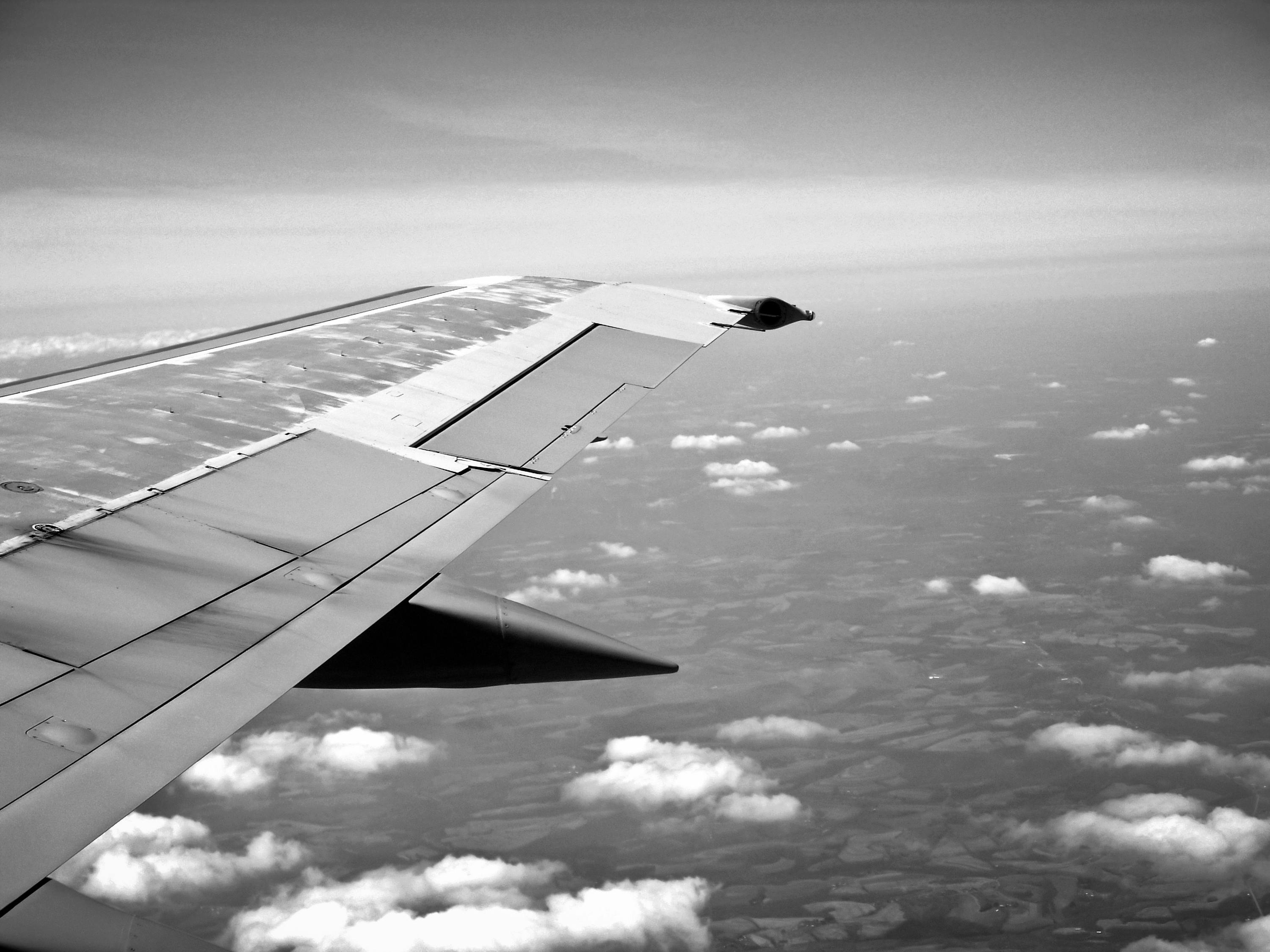 总裁与明星，权力与光环的碰撞之旅
