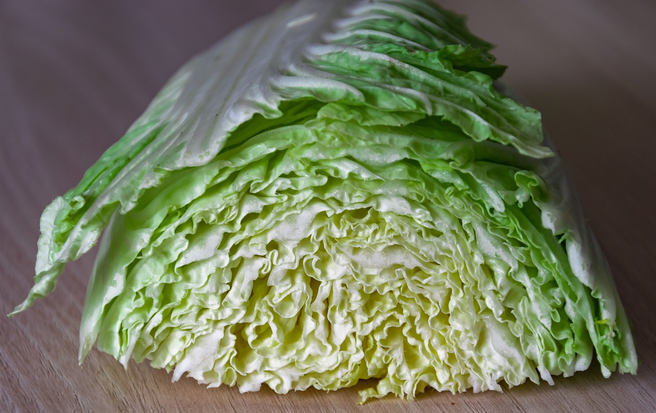 大白菜最新价格行情及分析