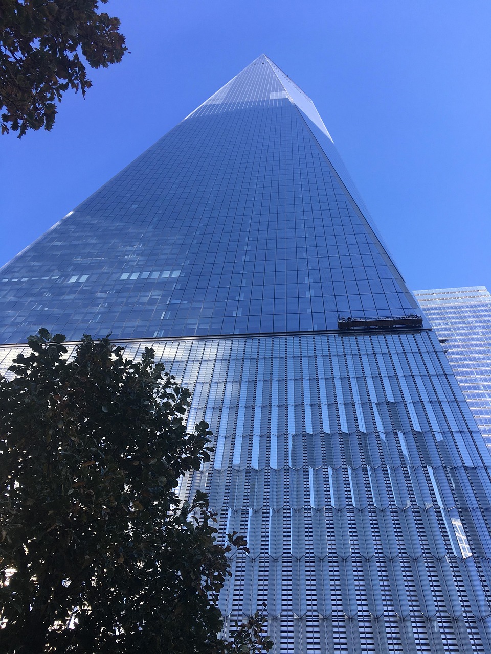 Tet123新域名，探索未来网络的新领地