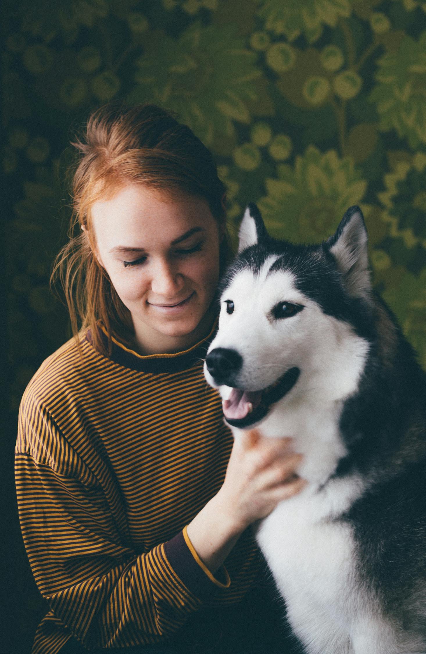 中国犬类比赛，展现犬种魅力，弘扬文化传承之美
