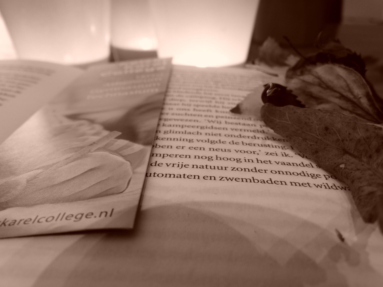 最新小说精选,探索文学的新疆界