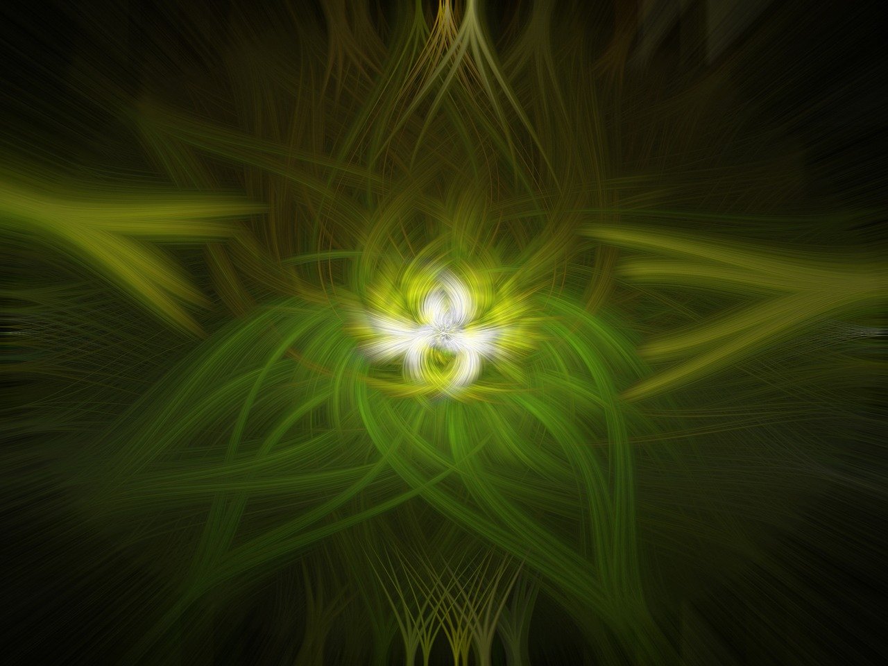 大选票数最新动态,选民意志揭示未来走向