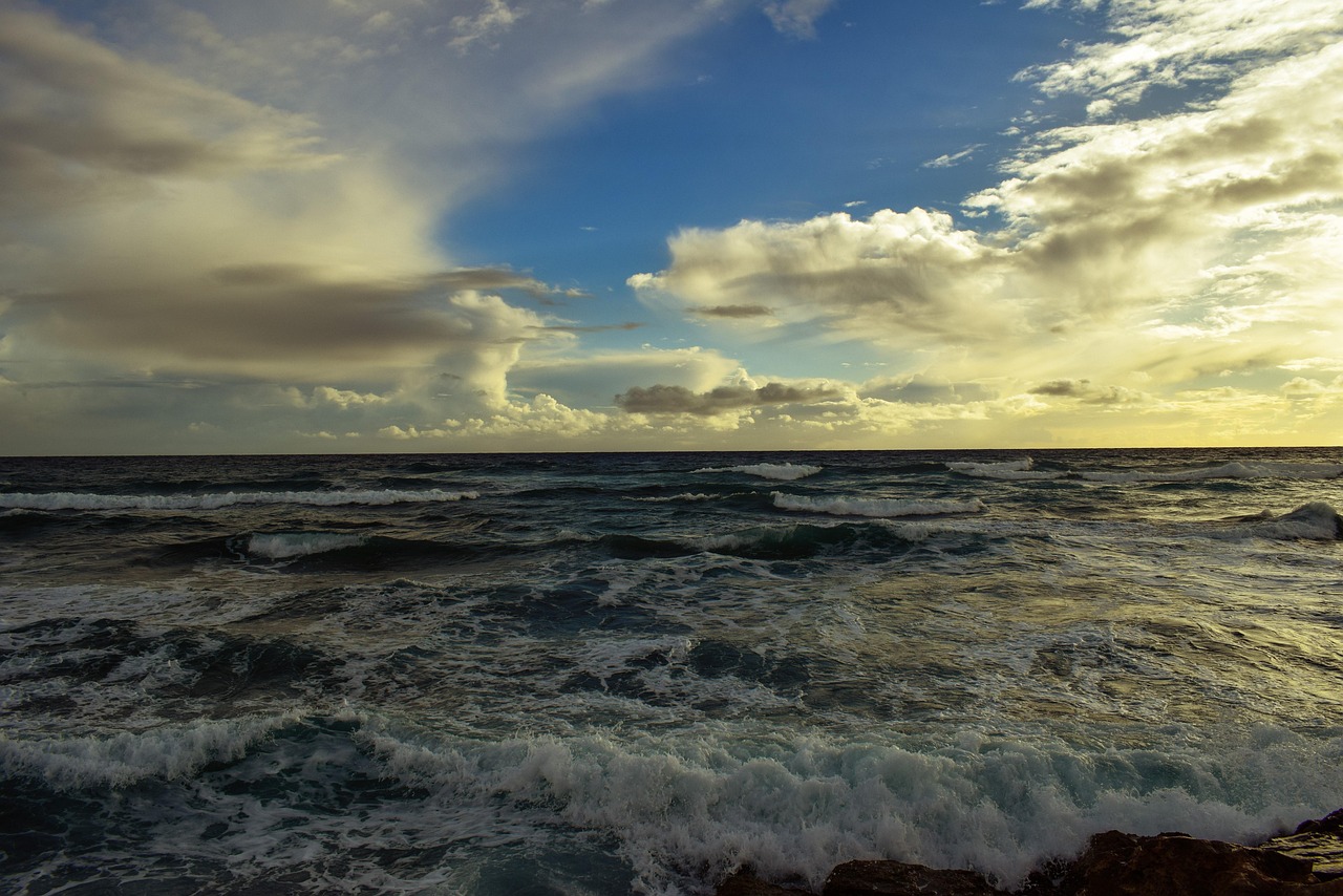 最新玉米价格动态及分析报告