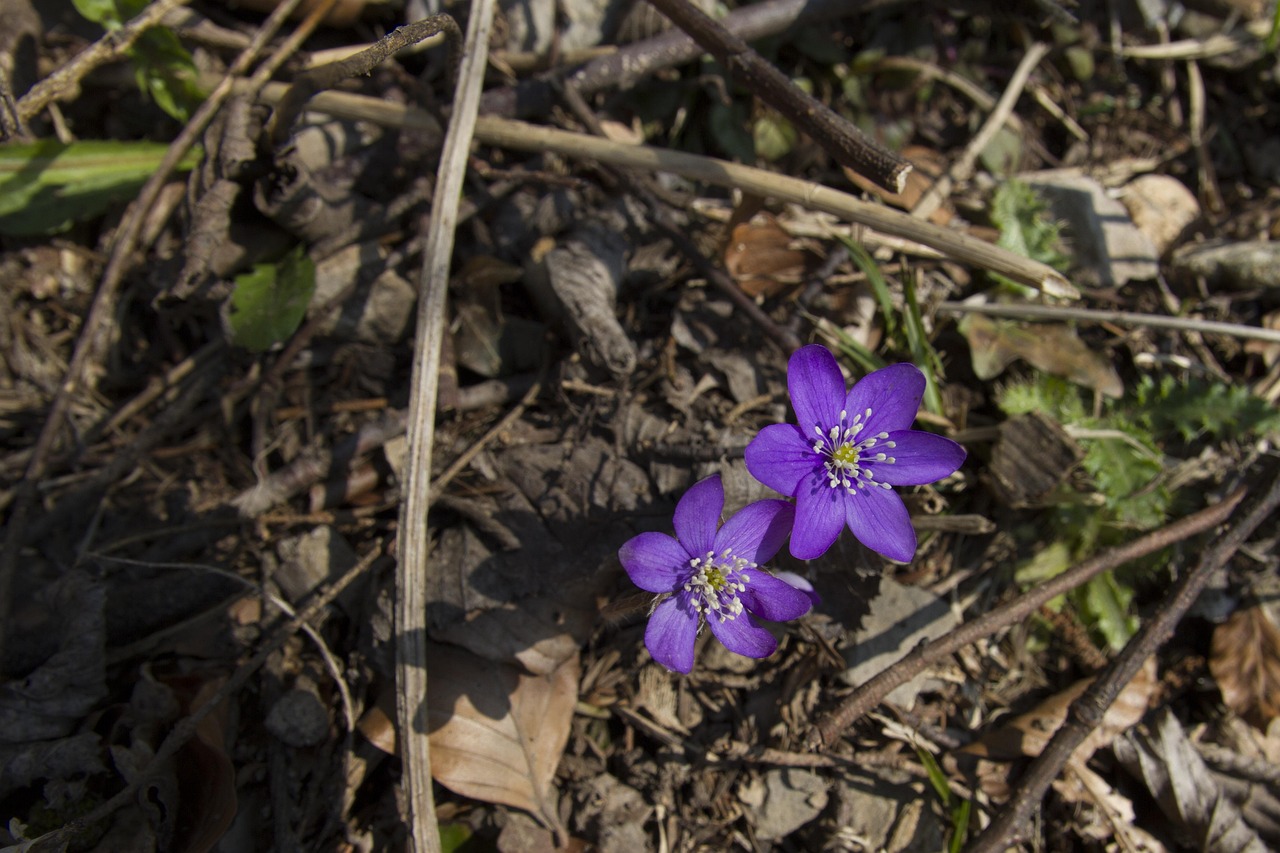 阳煤七元公司最新动态揭秘,最新进展与资讯更新