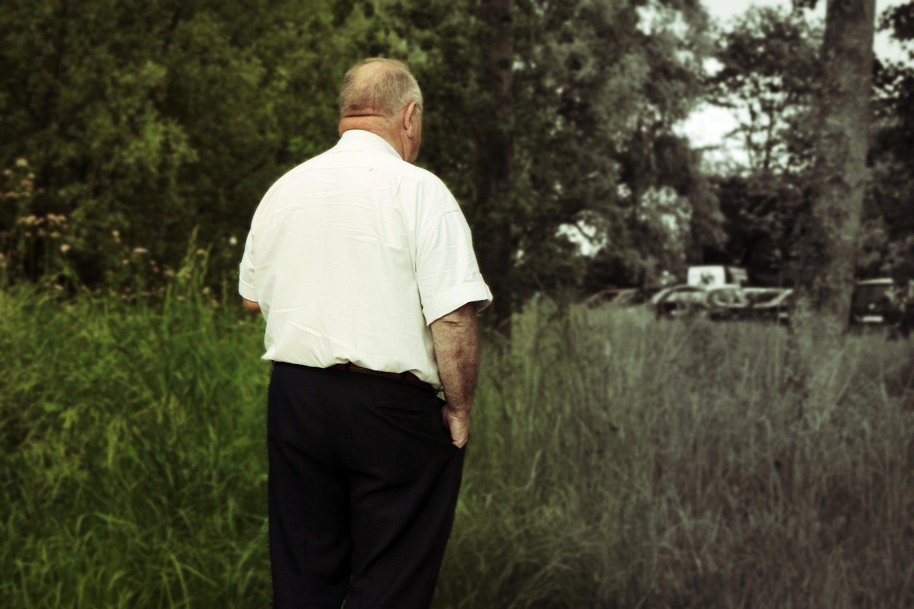 聚焦阳江人事任免动态,回顾与展望