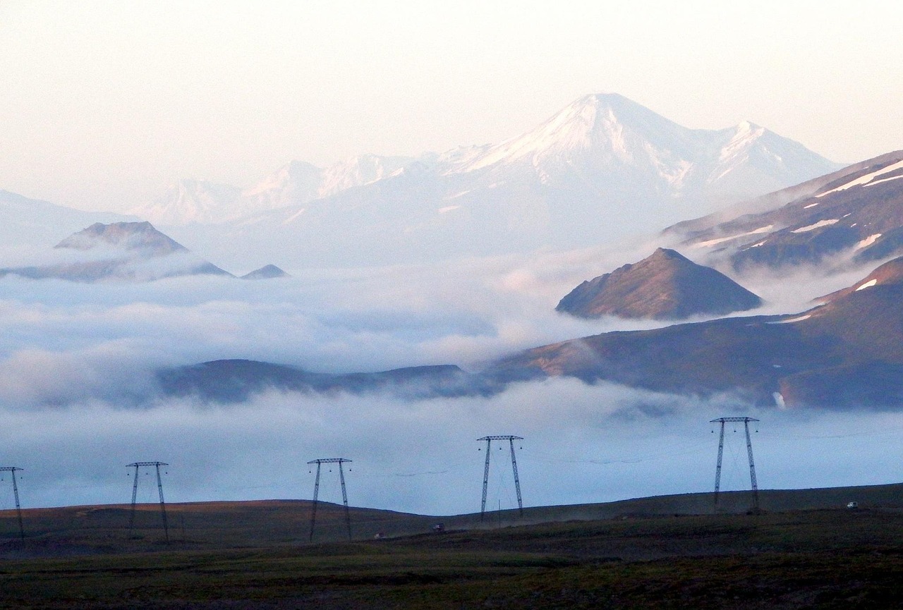 聚焦阳江人事任免动态，回顾与展望