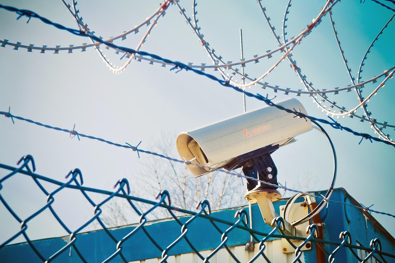 丽文最新视频，时尚潮流前沿动态探索