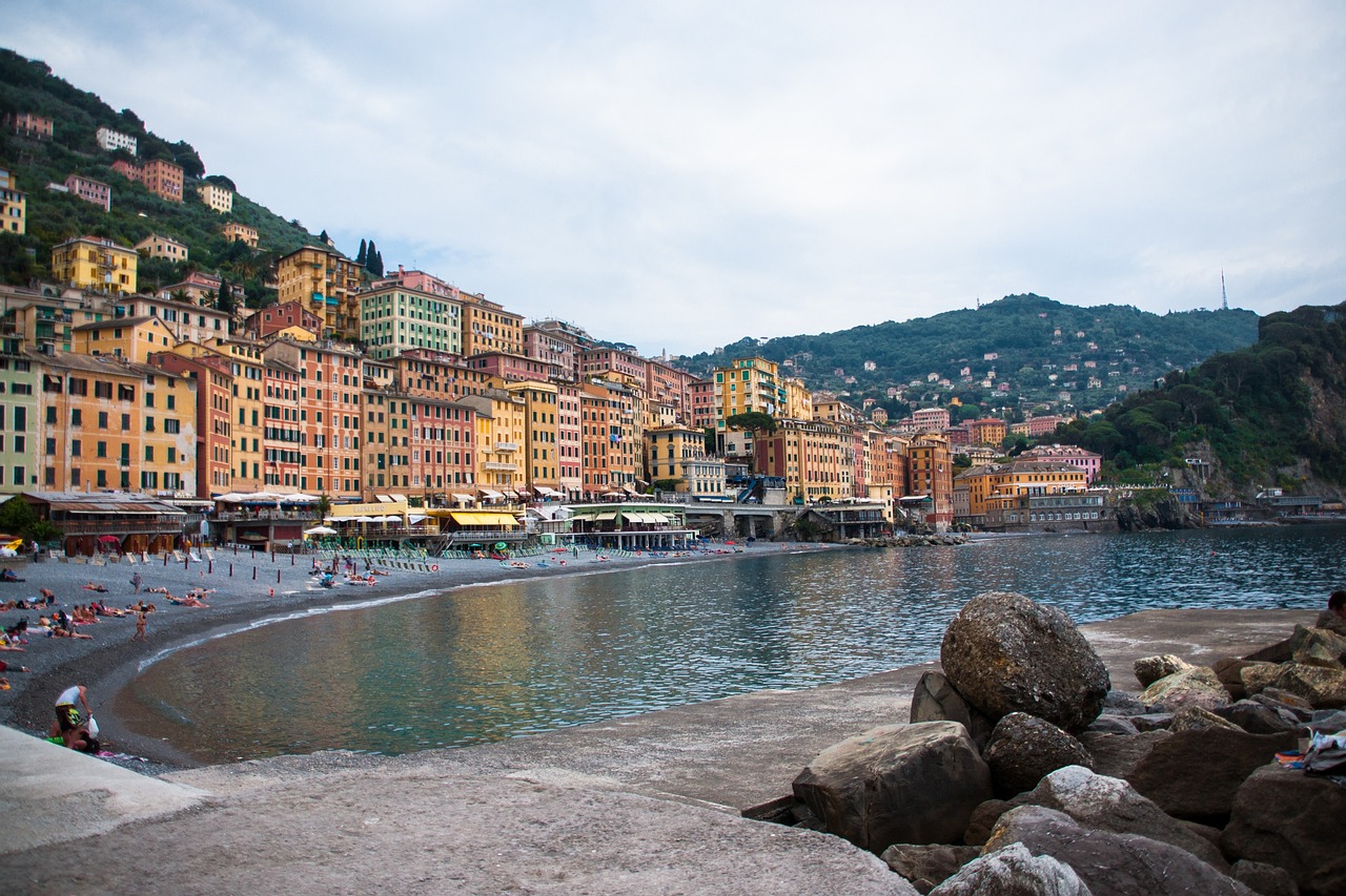 最新白菜价格及动态分析概览