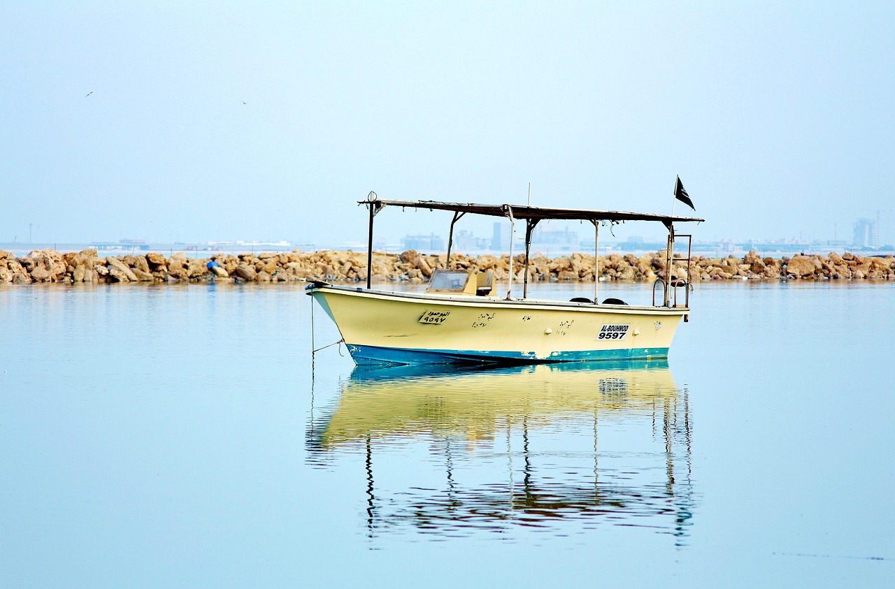 符凡迪最新动态,音乐之旅开启新篇章