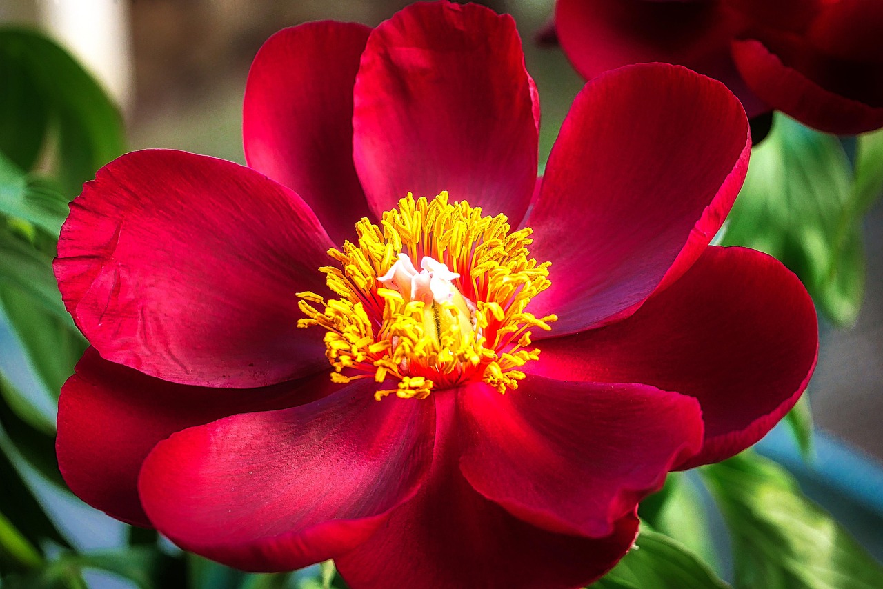 退休政策改革最新动态,探索、前瞻与未来展望