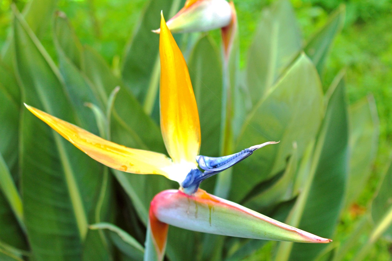 漳州台风最新动态及抗击台风行动保障安全