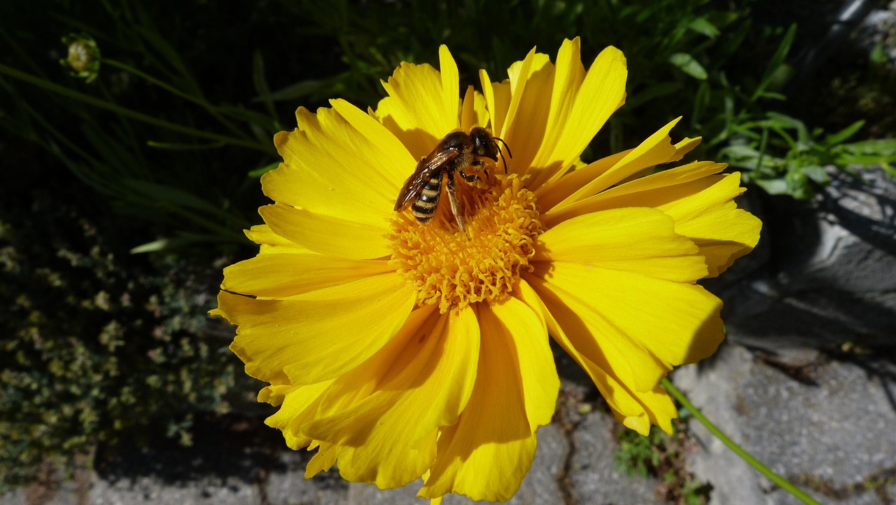 金牛化工迈向高质量发展新阶段，创新引领的最新动态