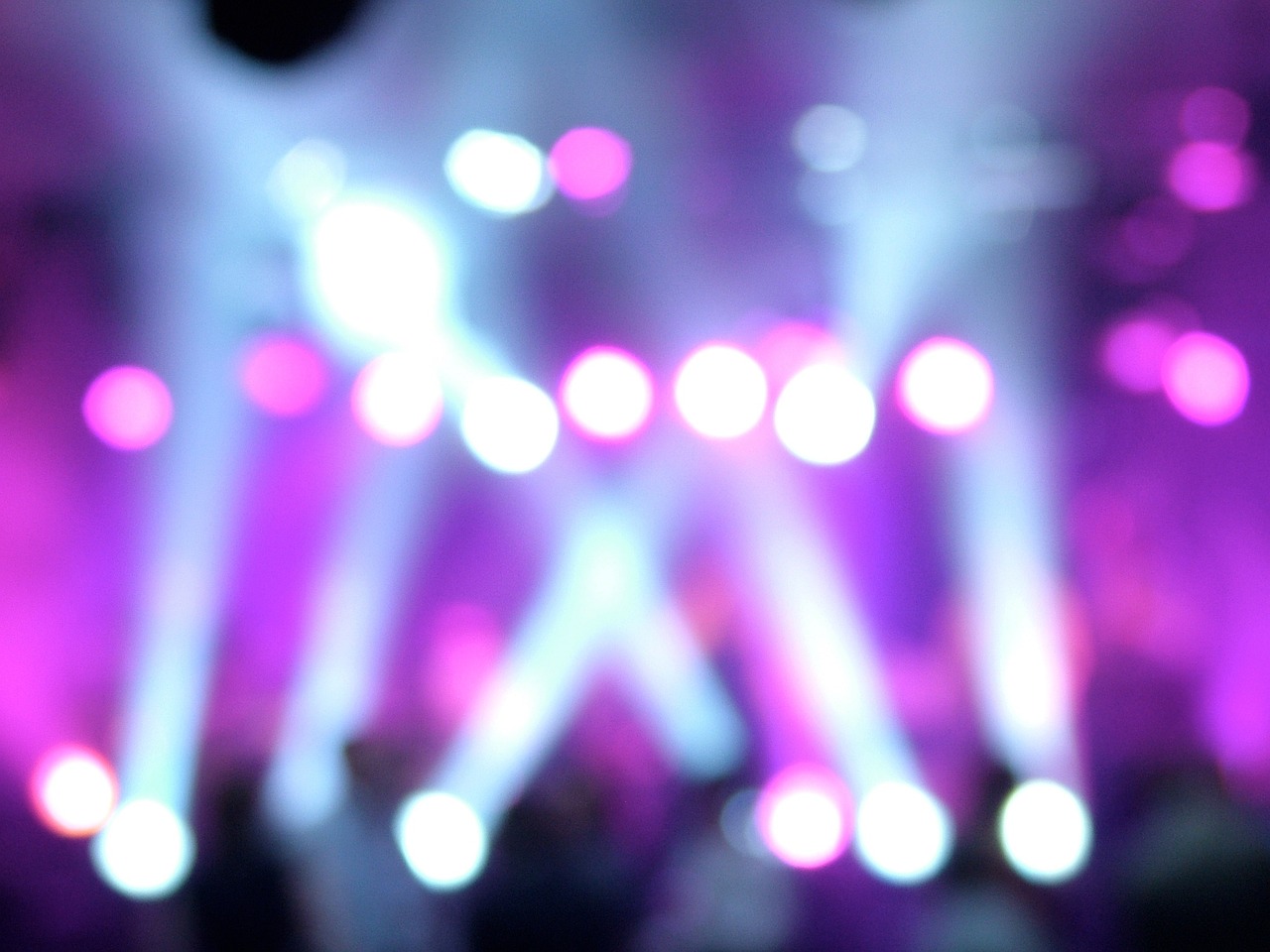 最新快本歌曲大放送,音乐盛宴的狂欢与潮流碰撞