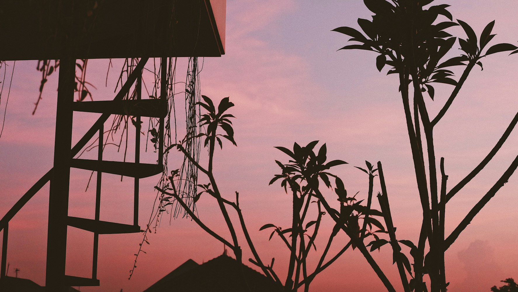 清新动漫壁纸探秘，走进梦幻的动画世界