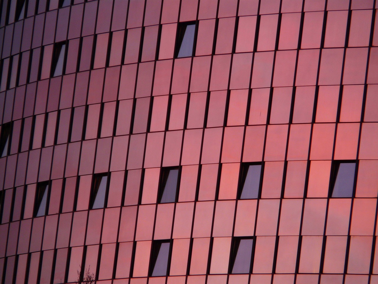 英国最新动态，引领全球变革的新趋势