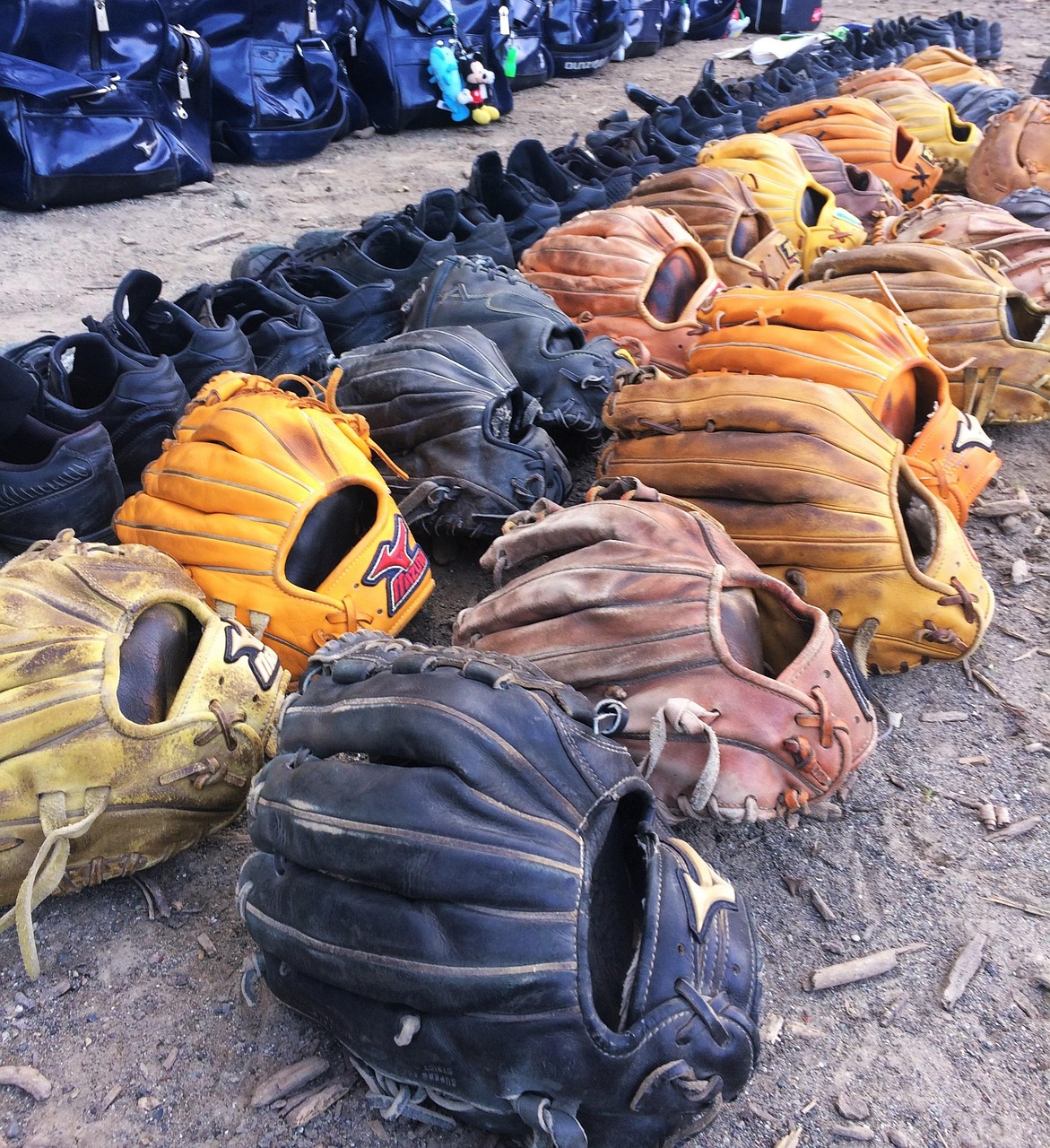 太湖县家园网最新资讯概览,太湖县最新动态一网打尽