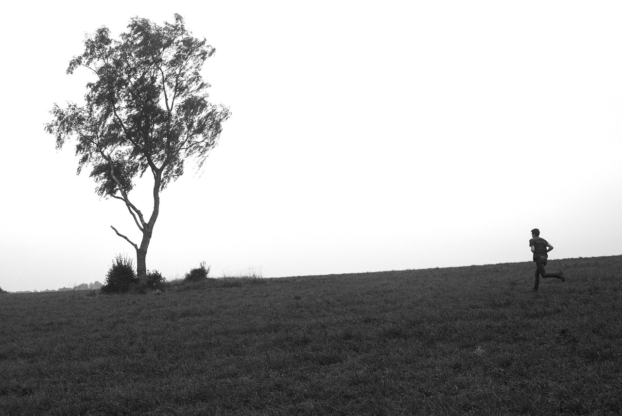 和平尊最新售价揭秘,探索价值与市场动态