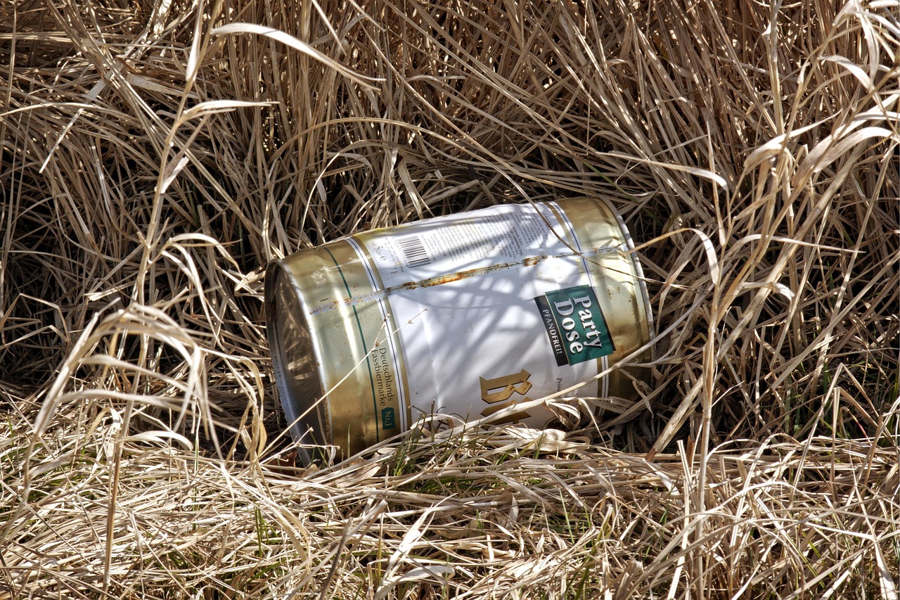 全球时事热点聚焦,最新新闻作文精选展现全球动态