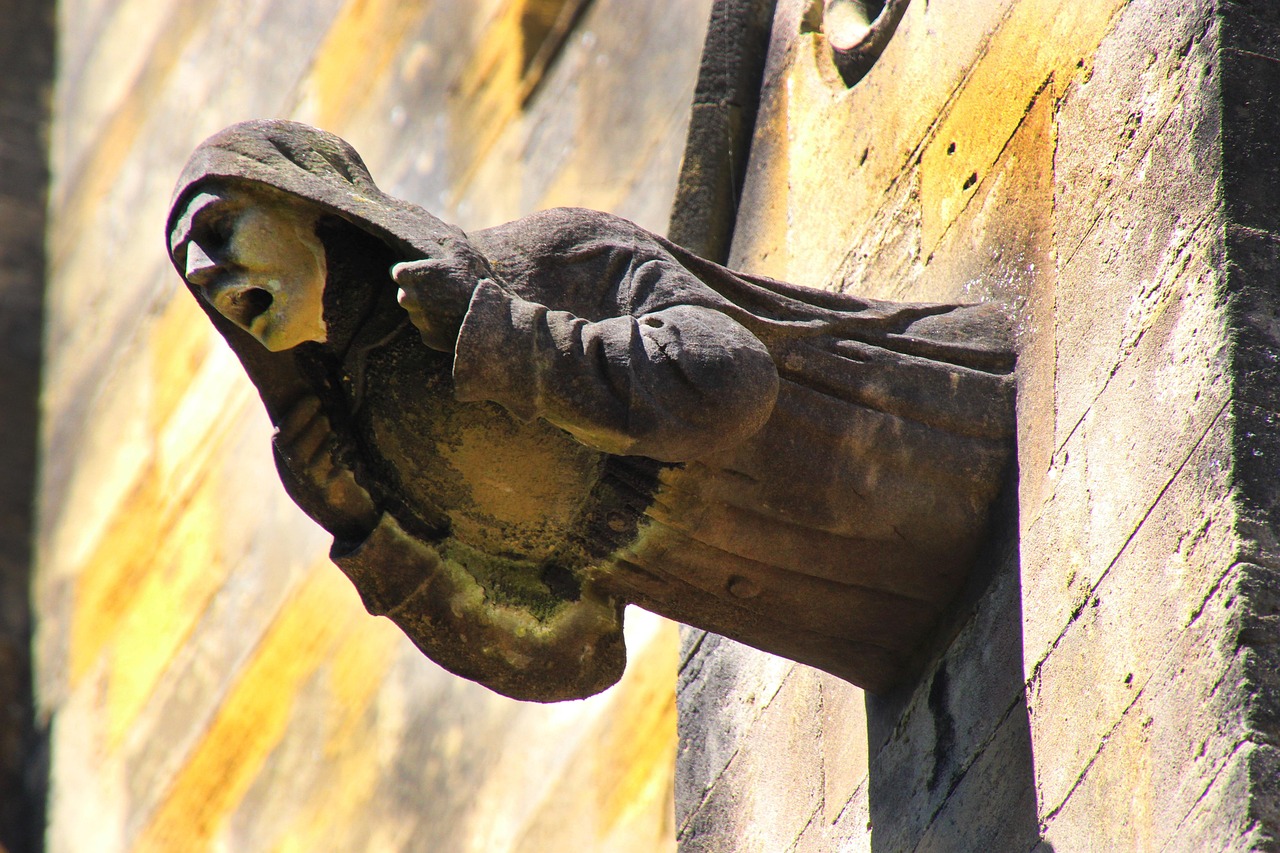 精灵变演员跨界之旅的奇迹