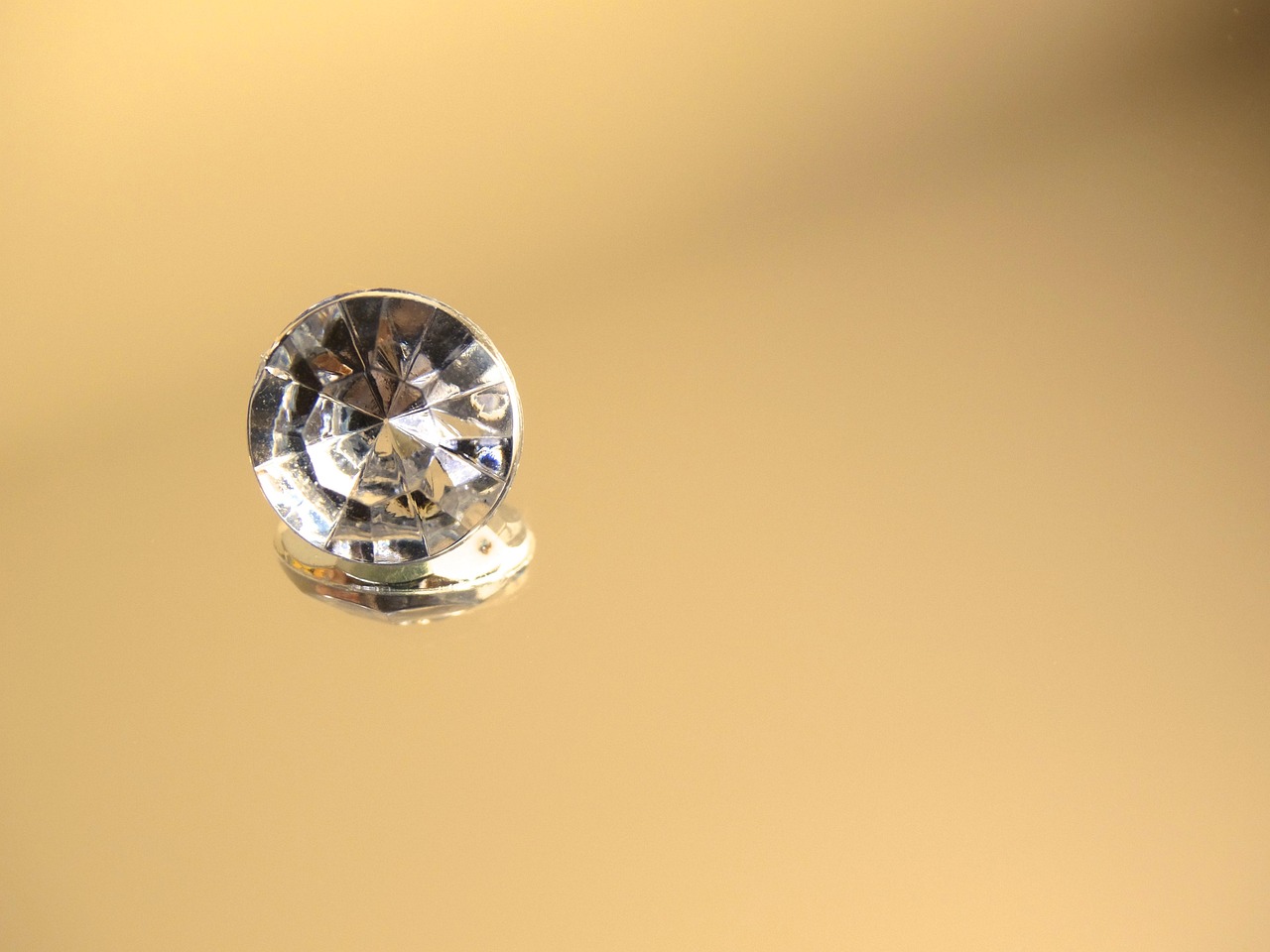 智娜演员,闪耀之星的光芒与魅力