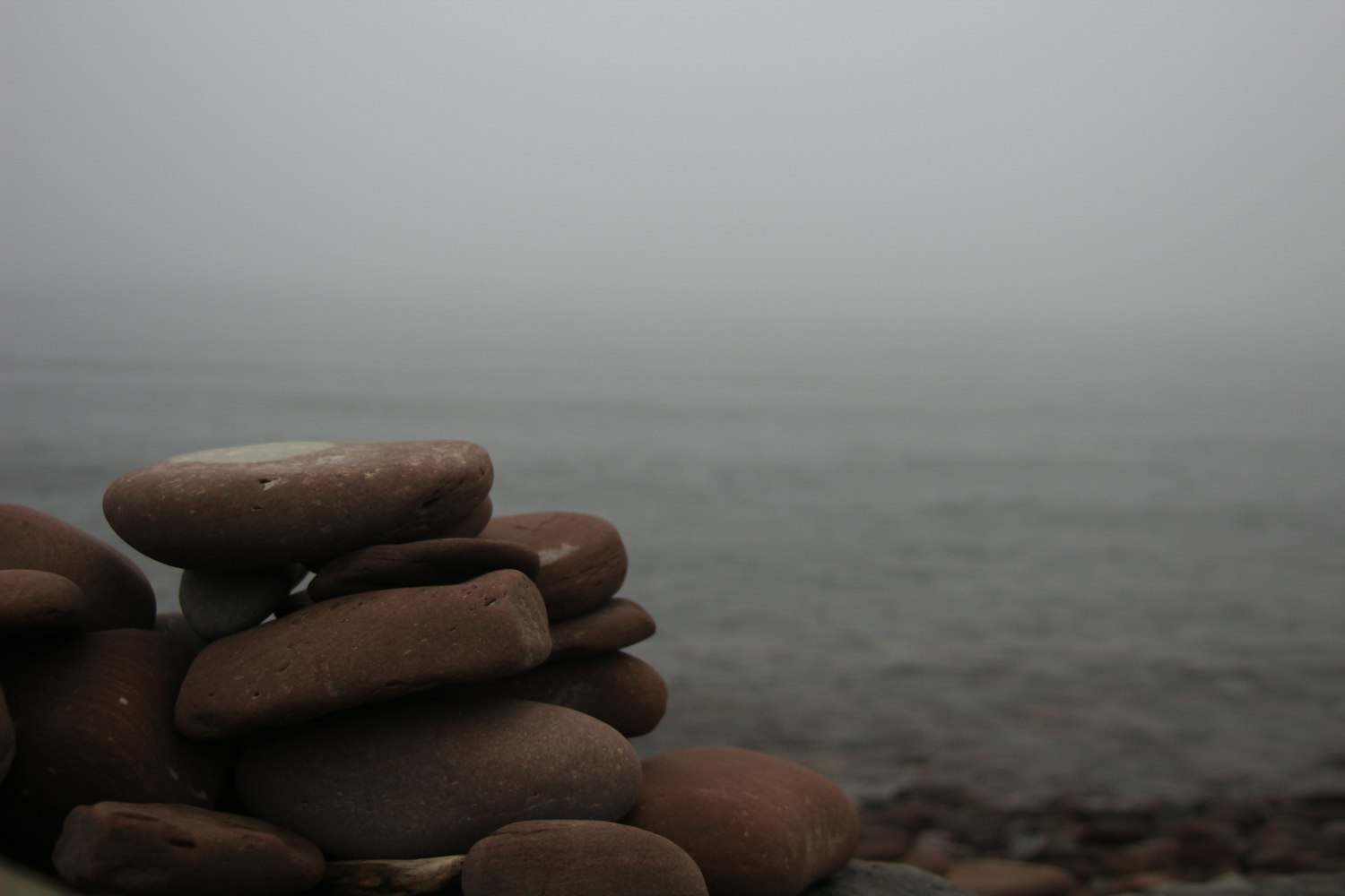 合肥大运城最新动态,城市发展的蓬勃新篇章启幕