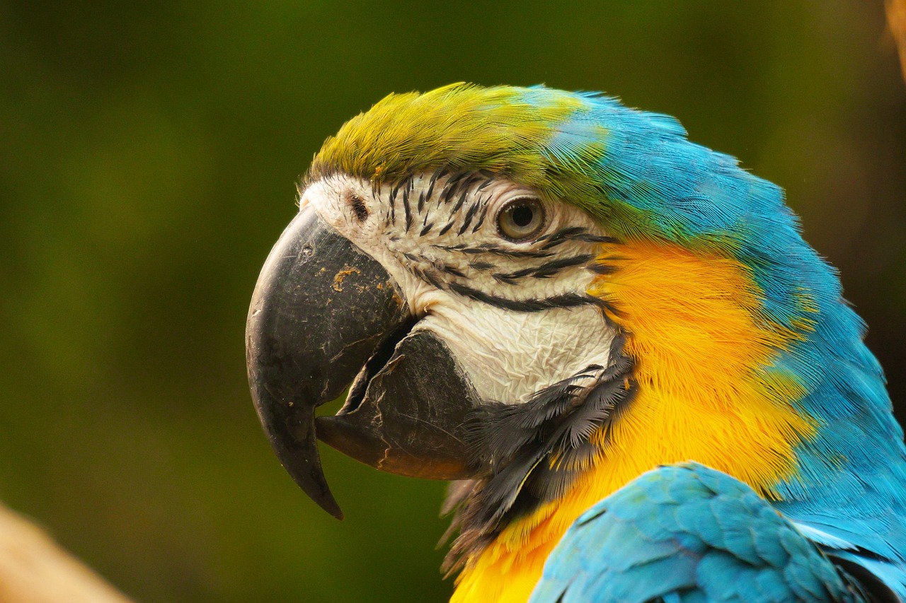 海信电视分辨率深度解析,技术细节与画质表现