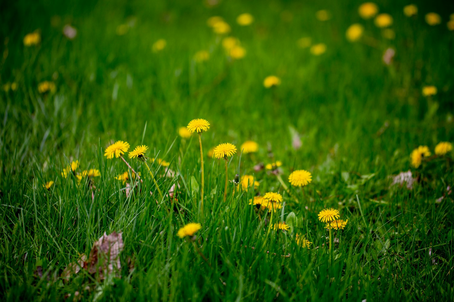 南京城市新动态,焕发勃勃生机与活力