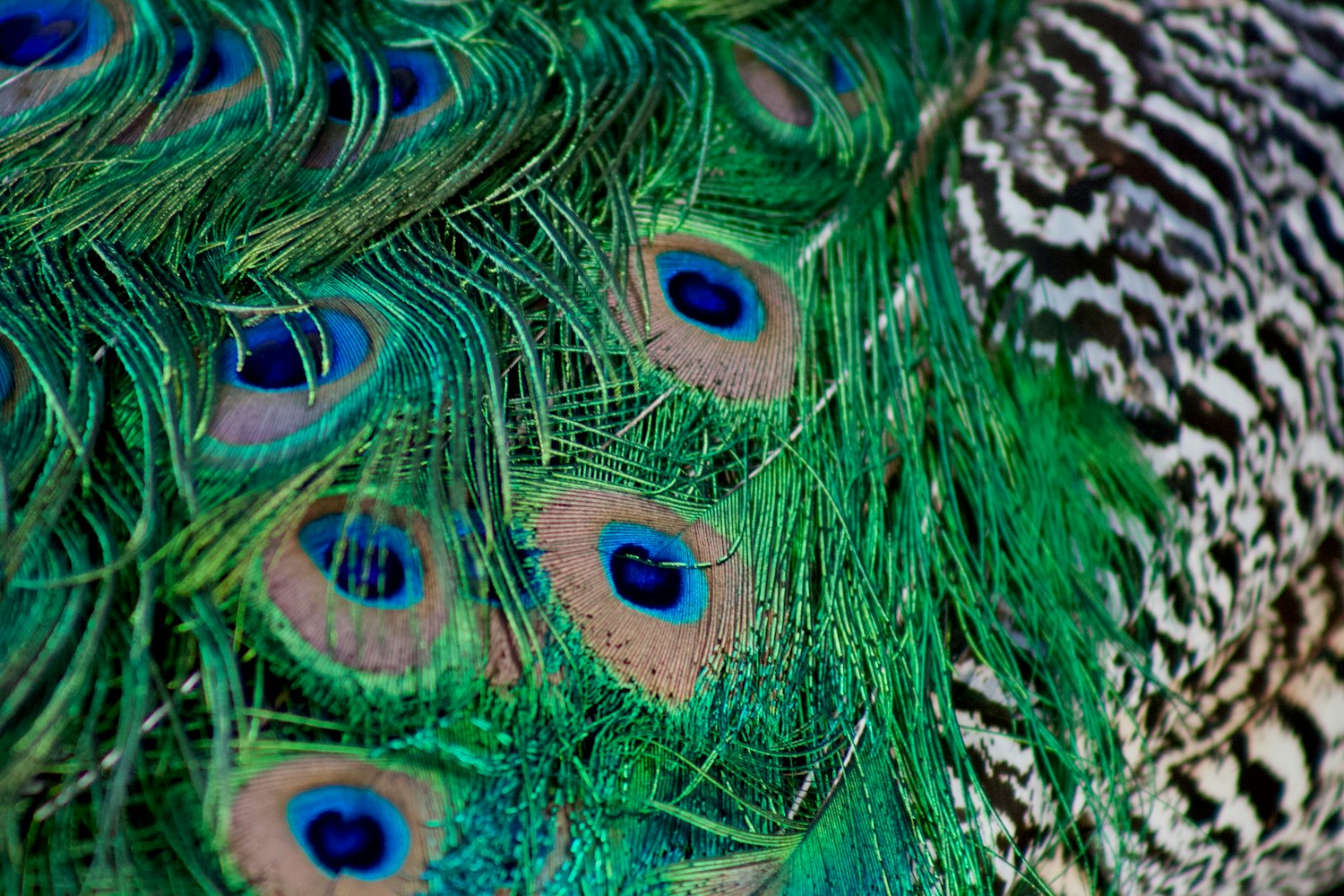 南京城市新动态,焕发勃勃生机与活力