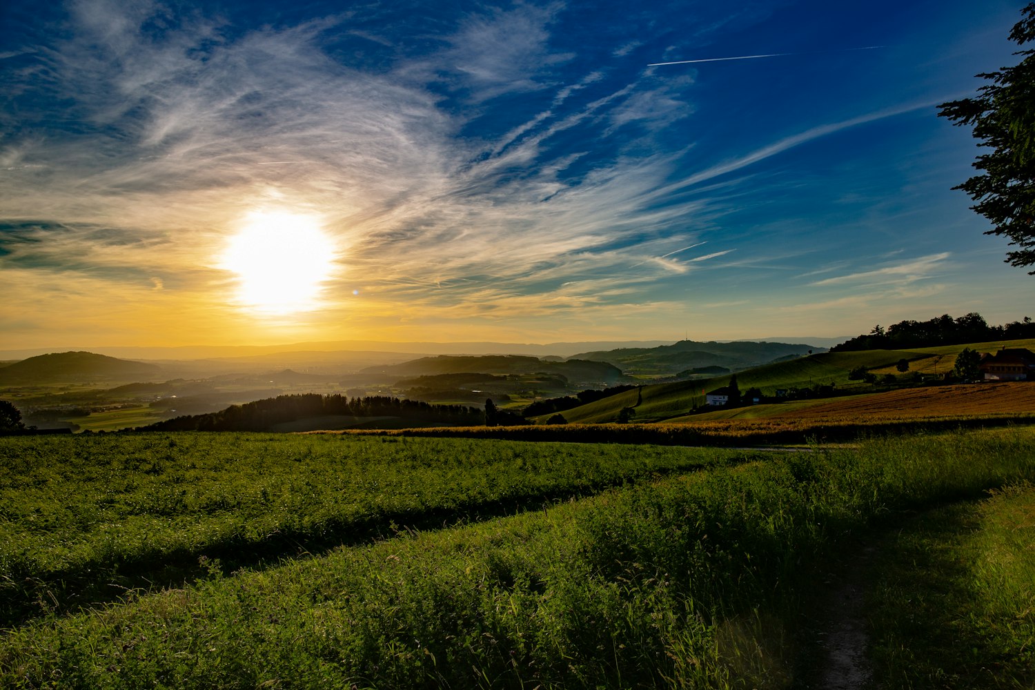 深圳协警改革最新动态，探索创新，推动警务现代化发展