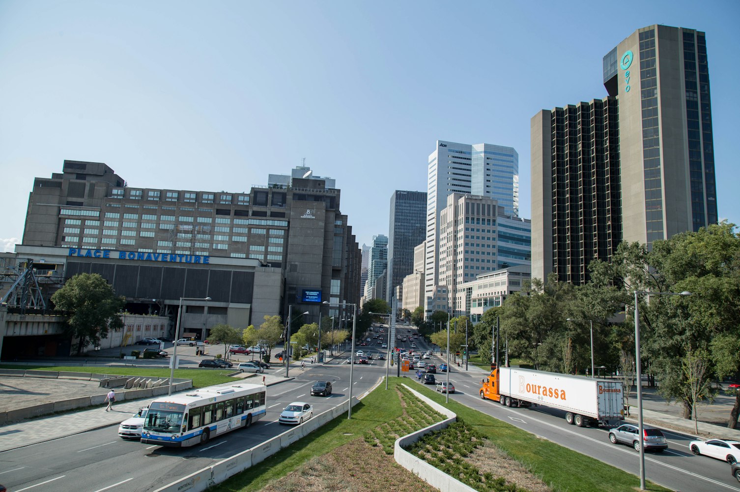 最新绿化政策，重塑城市生态，引领未来发展之道