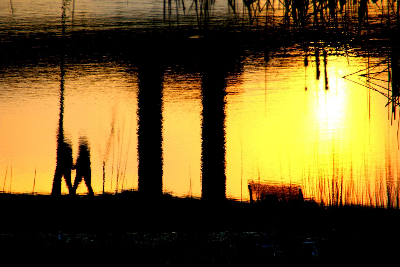 最新日本动漫剧场版，热血与情感的极致探索