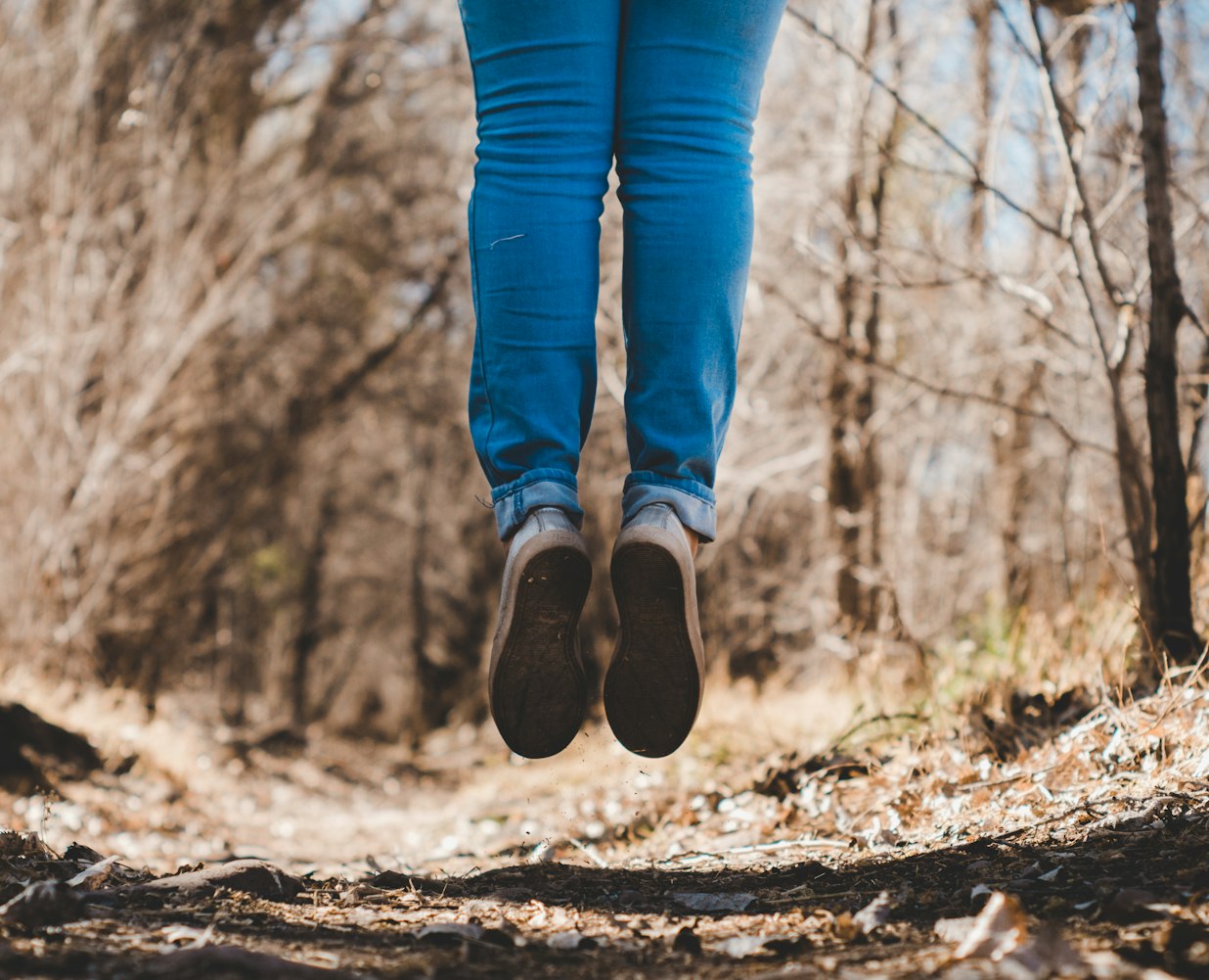 剑川县干部任免信息详解，最新任免动态解析