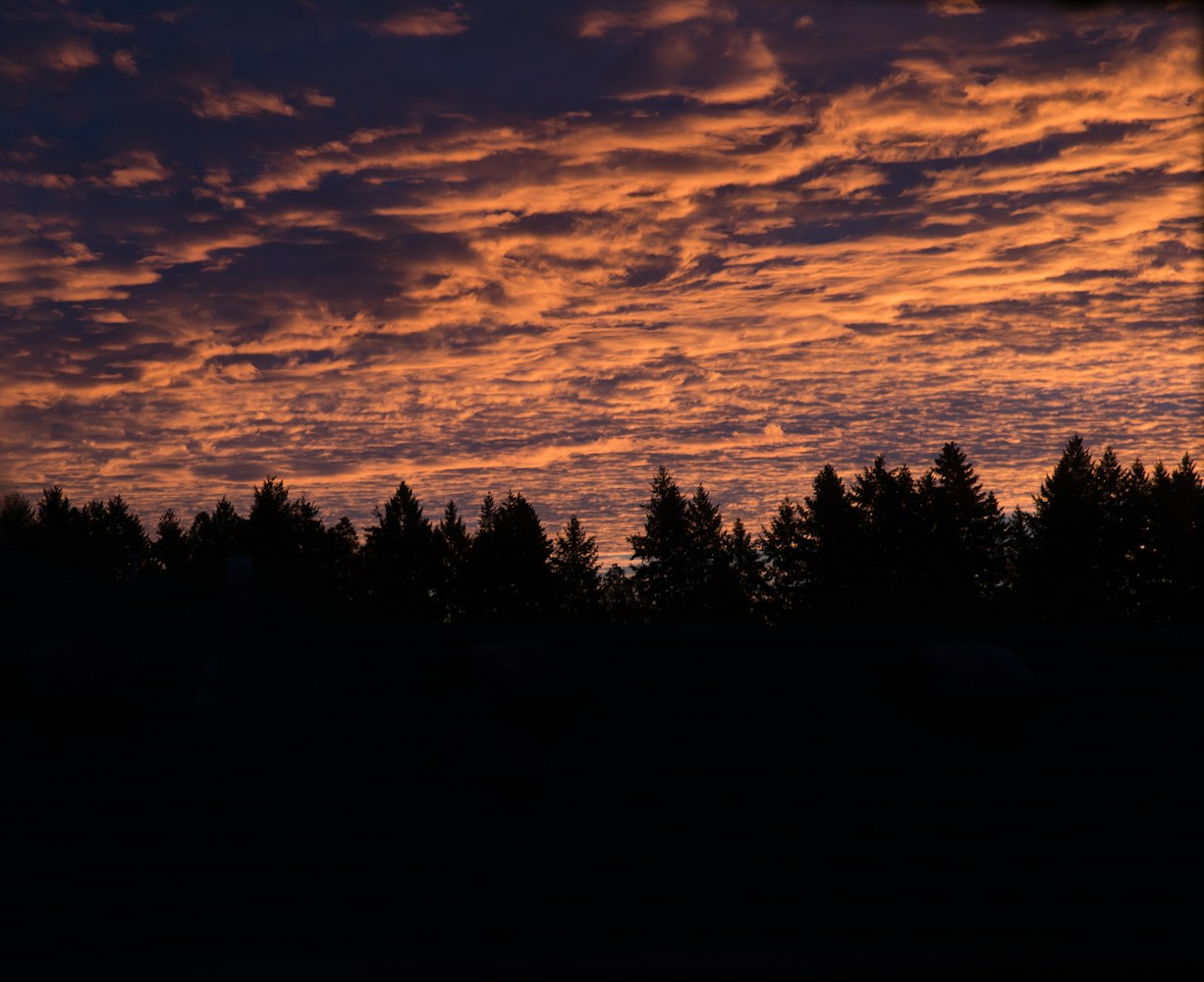 最新热门歌曲推荐，引领潮流的音乐风暴