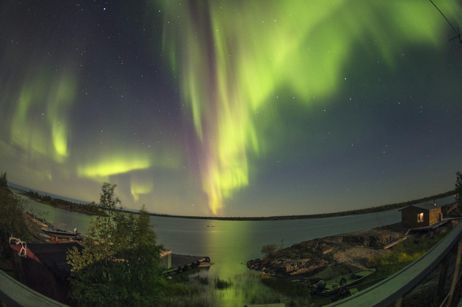 明星林，星光璀璨与自然的和谐共鸣之地