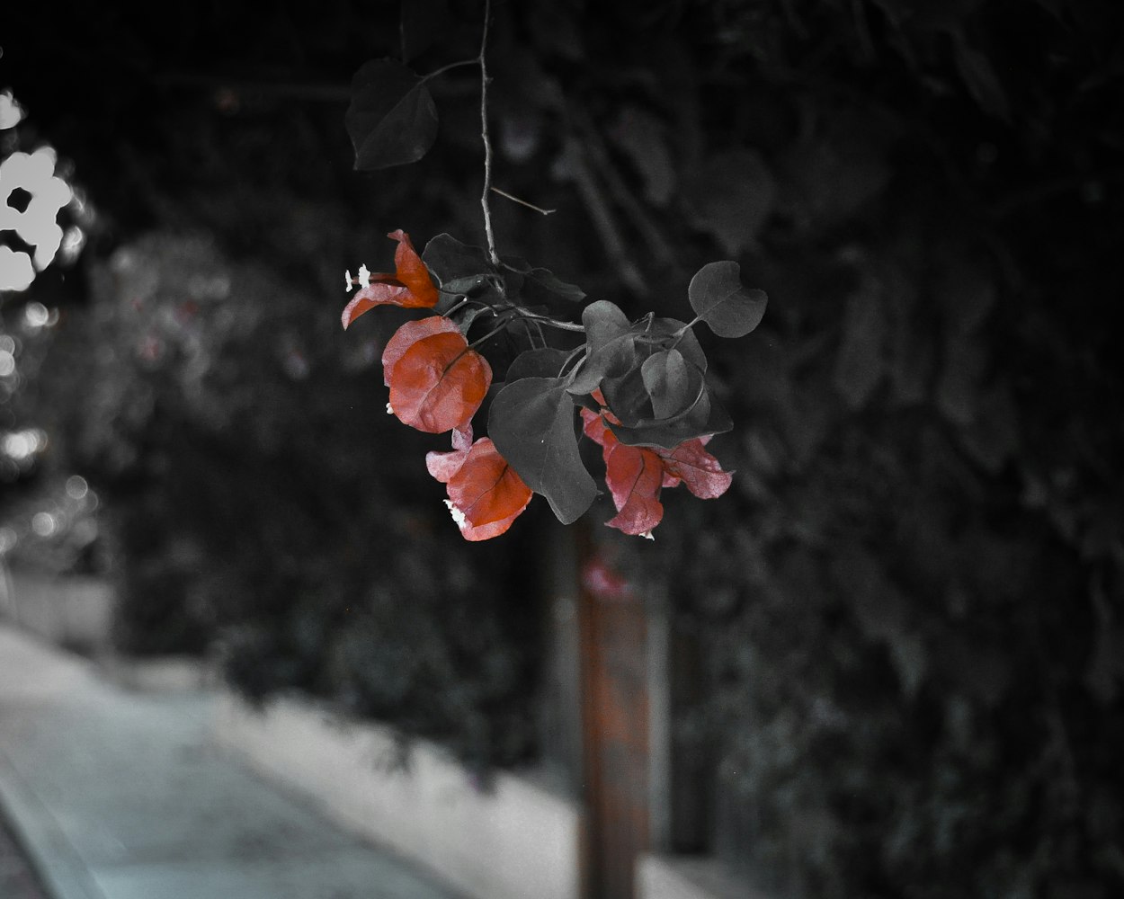 动漫男生头像，风格、意义与流行文化的探索