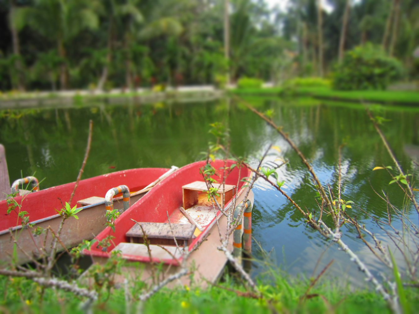 农村赌徒新动态揭秘，深层影响与应对策略探究