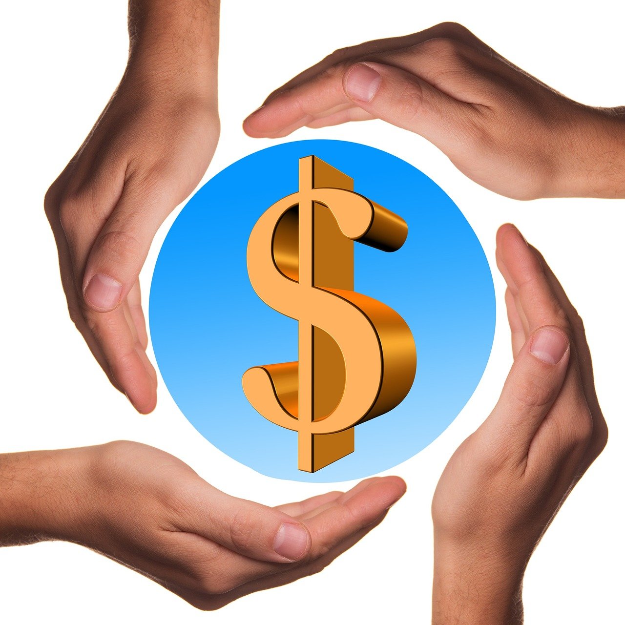 人参未来行情展望与趋势分析