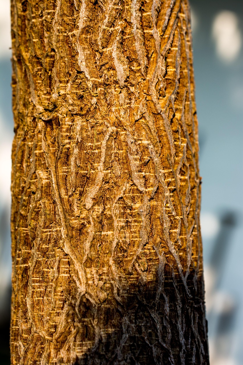 京雄铁路榆垡镇区域发展迎来全新篇章，最新动态与消息速递