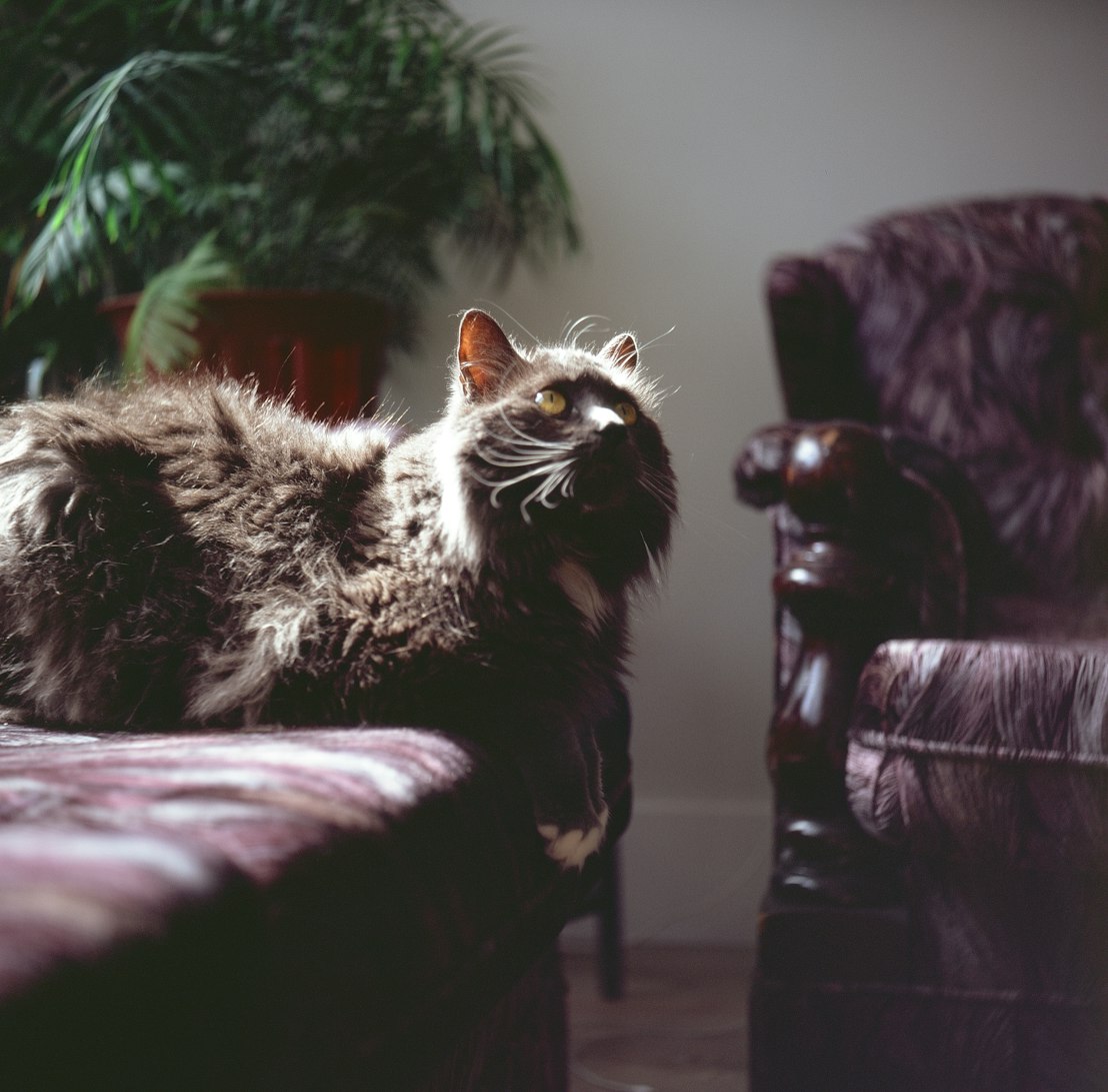 电影周末同床，情感与生活的交织之夜