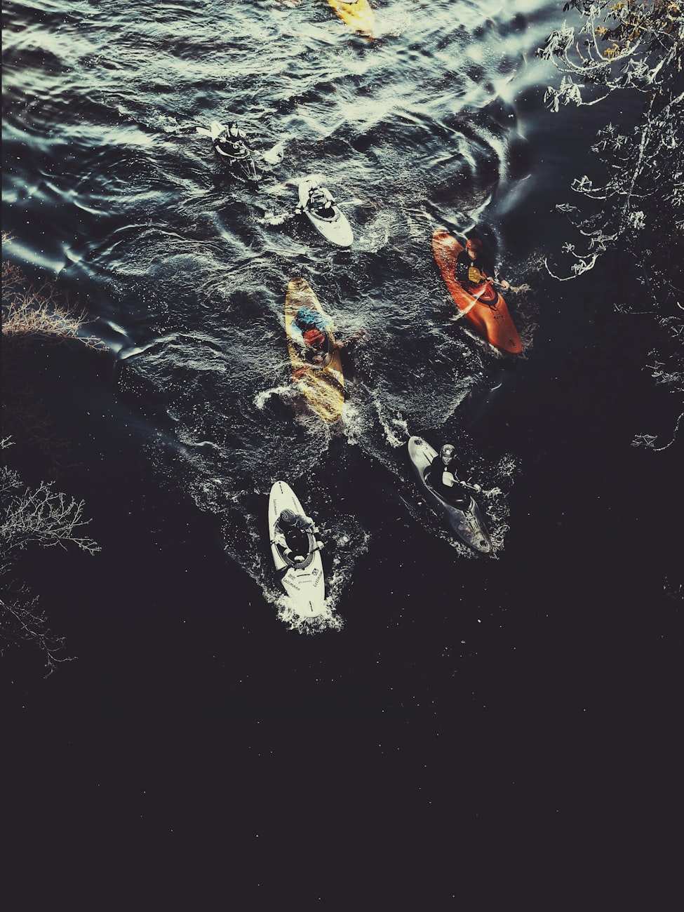 日本废水处理最新动态，创新技术与发展趋势