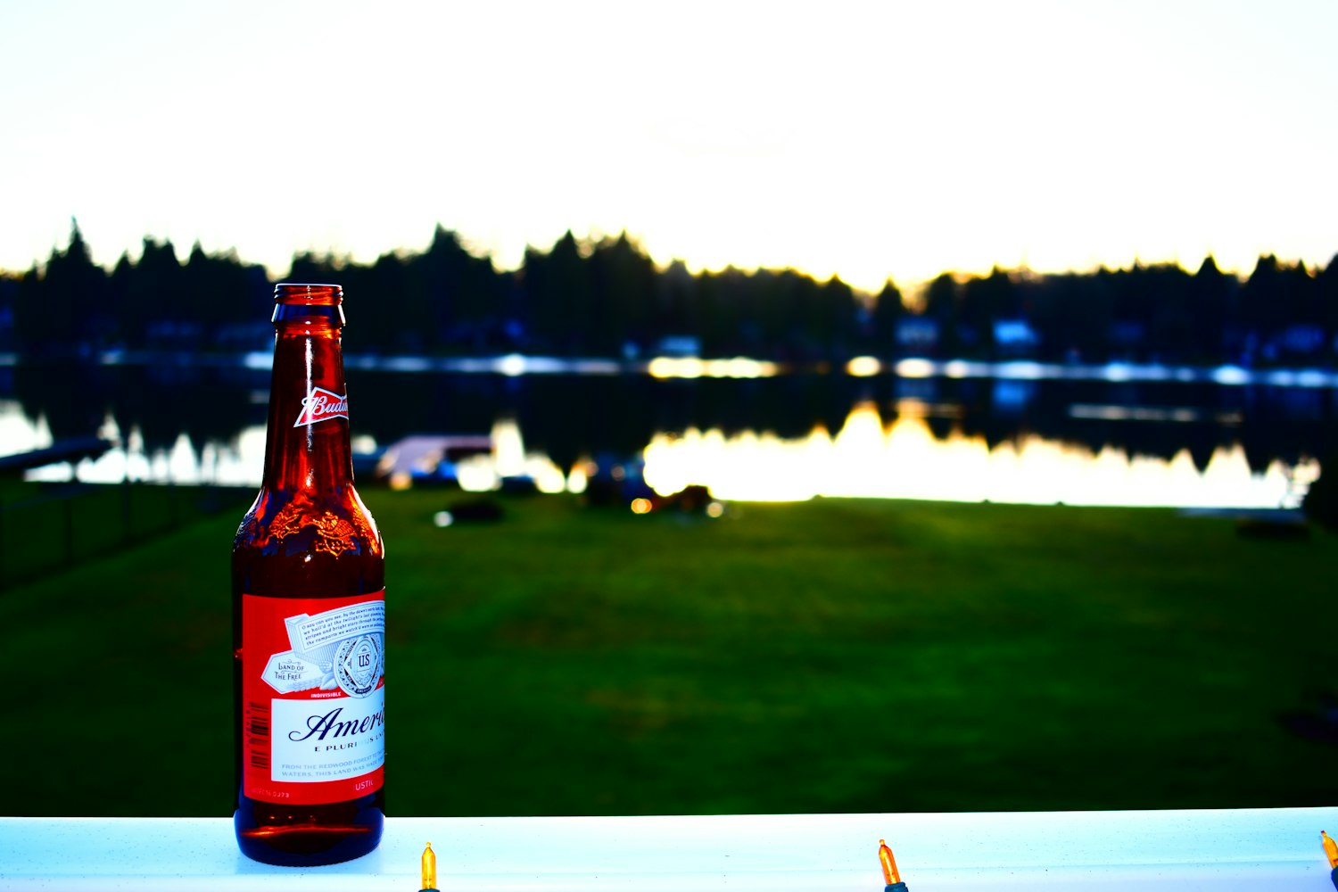 2025年12月 第249页