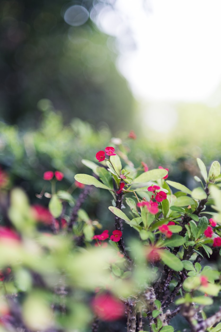 章丘盛世锦园最新价格动态及市场影响力分析