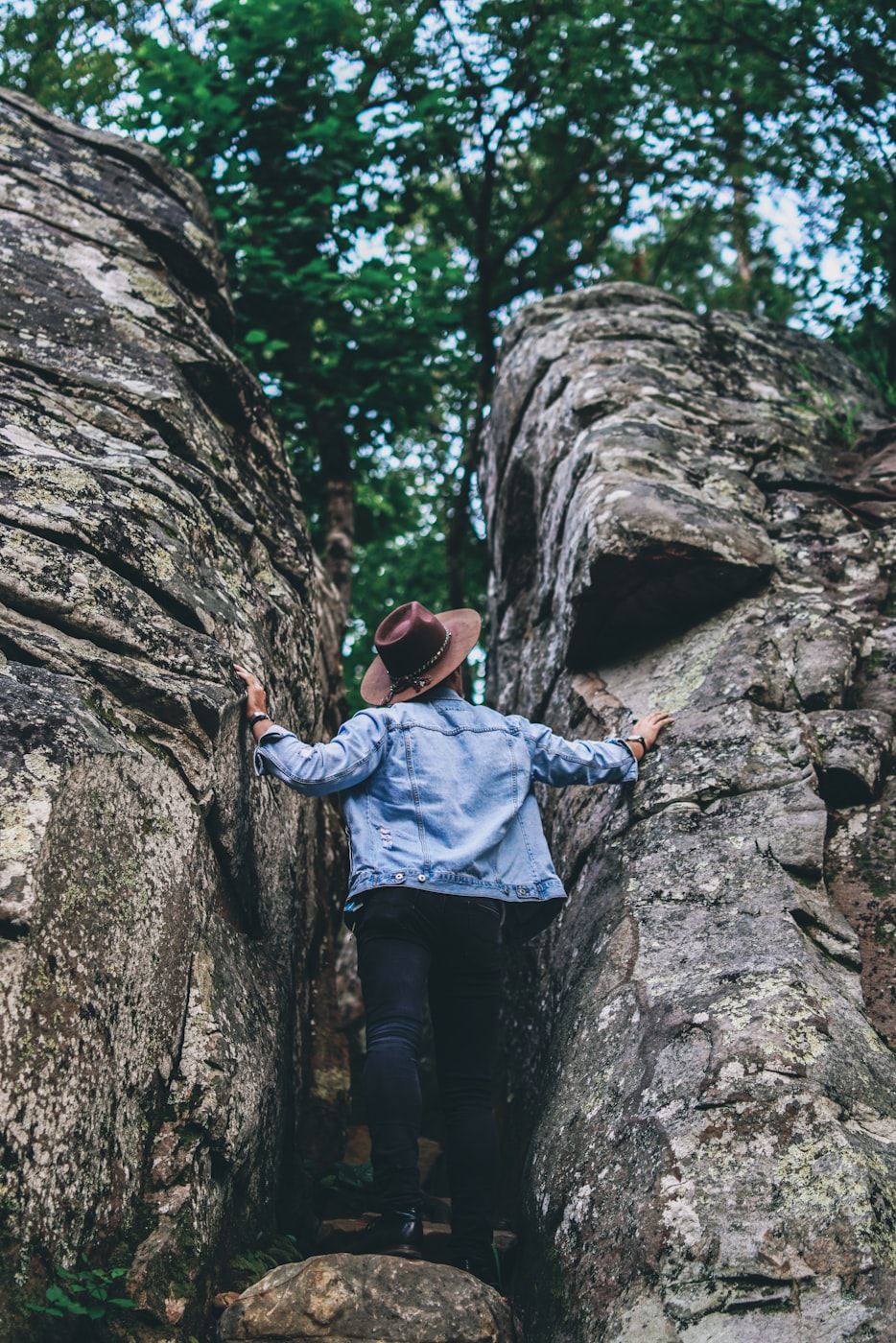 回龙山资讯更新，自然美景与文化底蕴的交融探索地