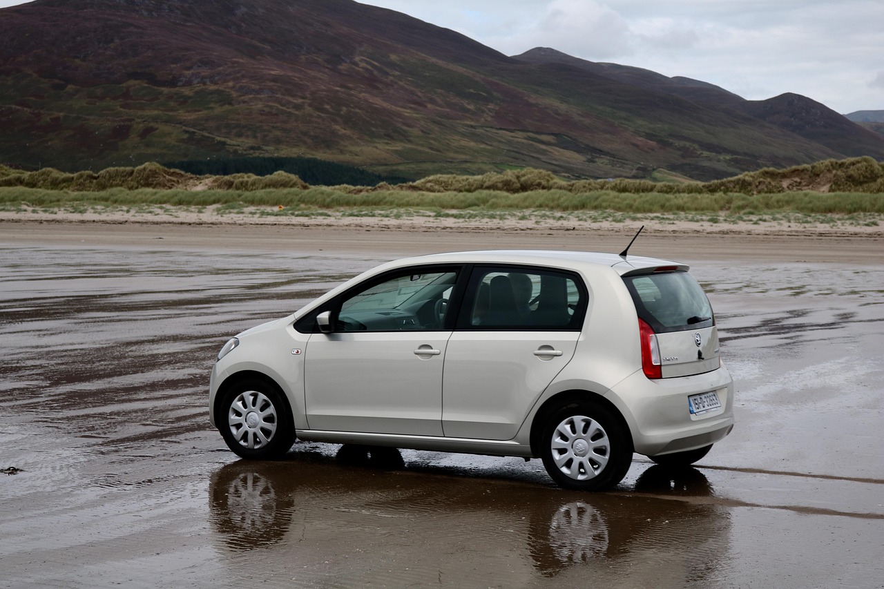 蔡琳2017最新动态，演艺事业的持续繁荣与多元发展之路