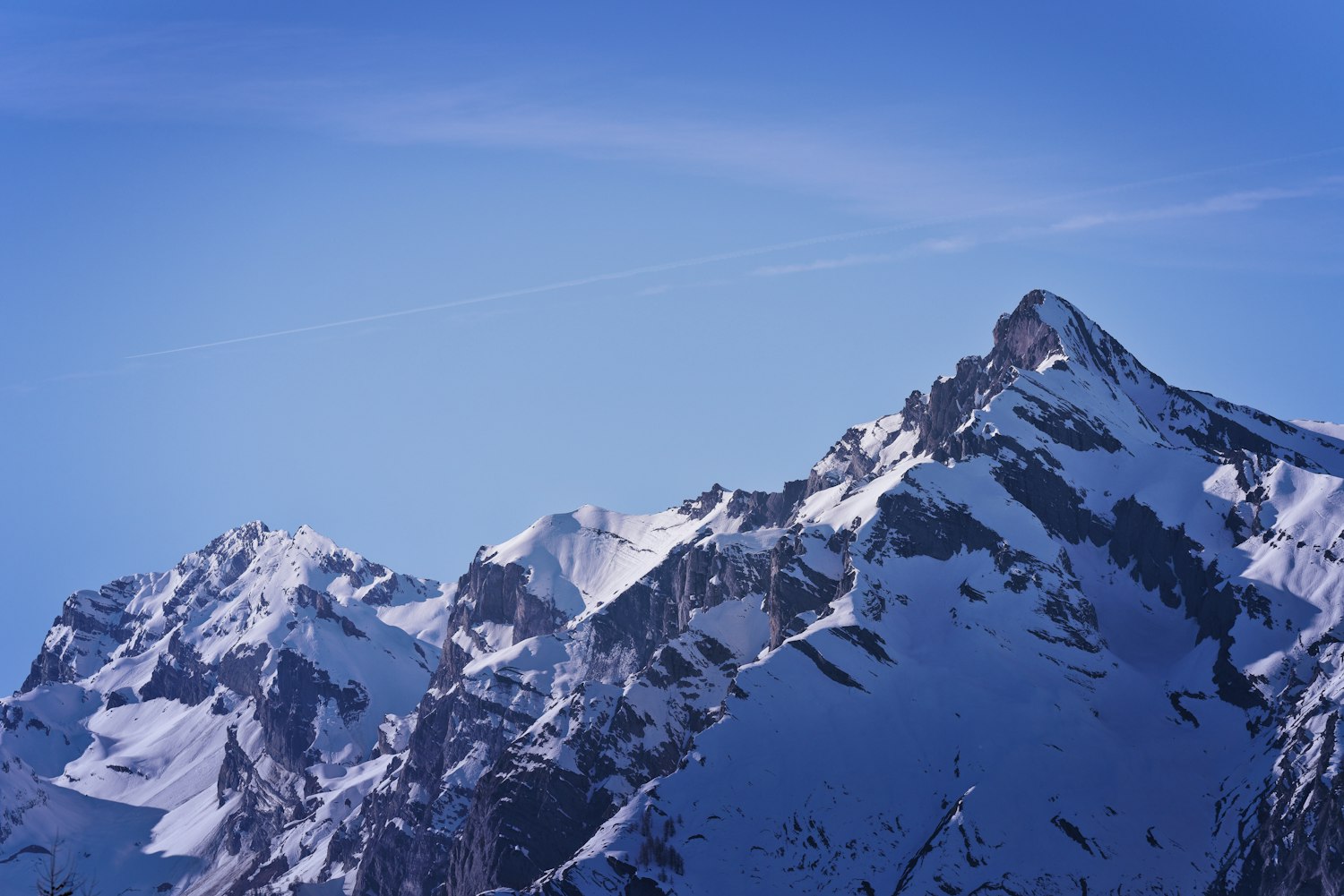 休渔最新闻揭秘，海洋生态保护的最新动态与挑战