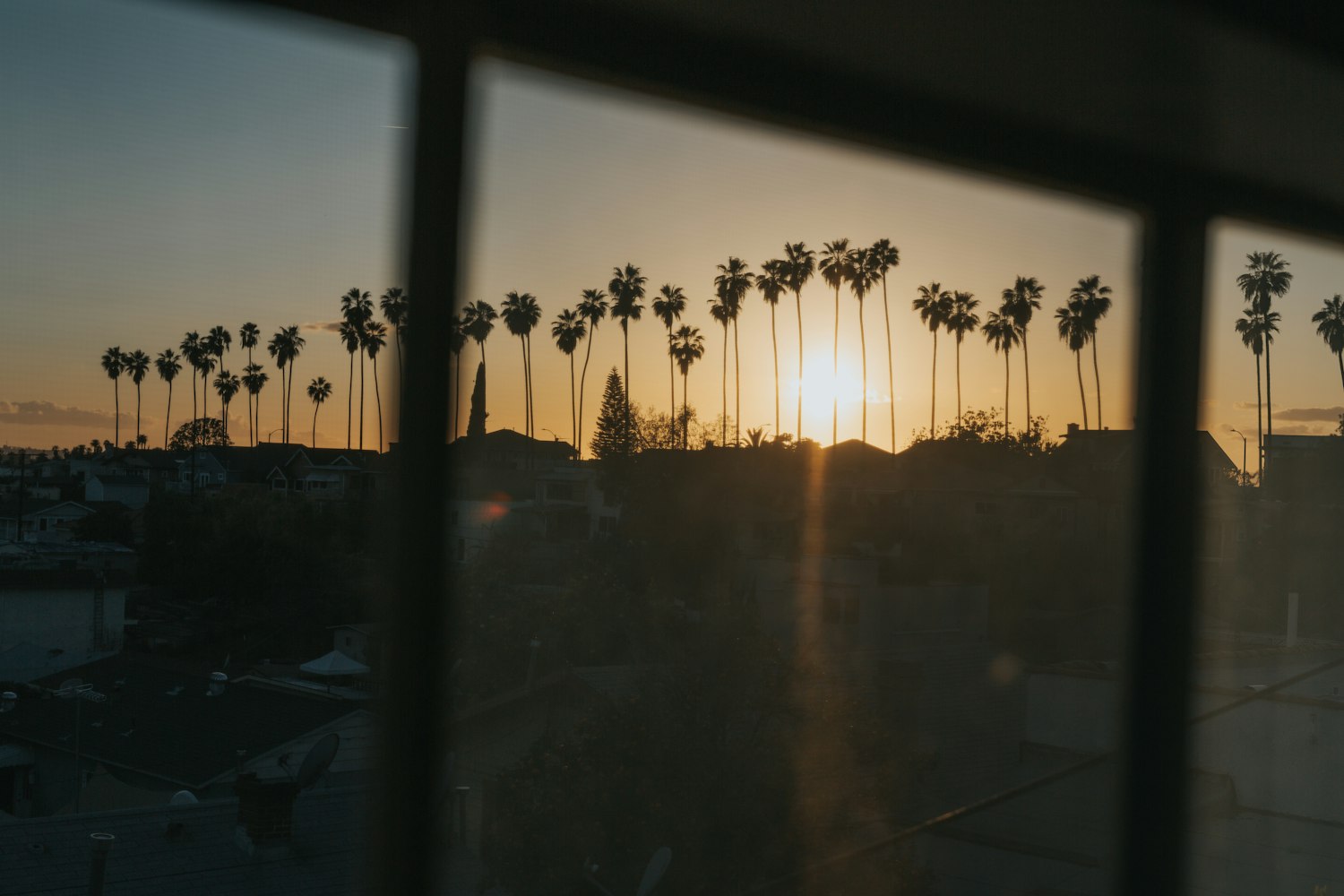 电影陌生人，探索未知与情感的交织，寻找心灵中的陌生面孔