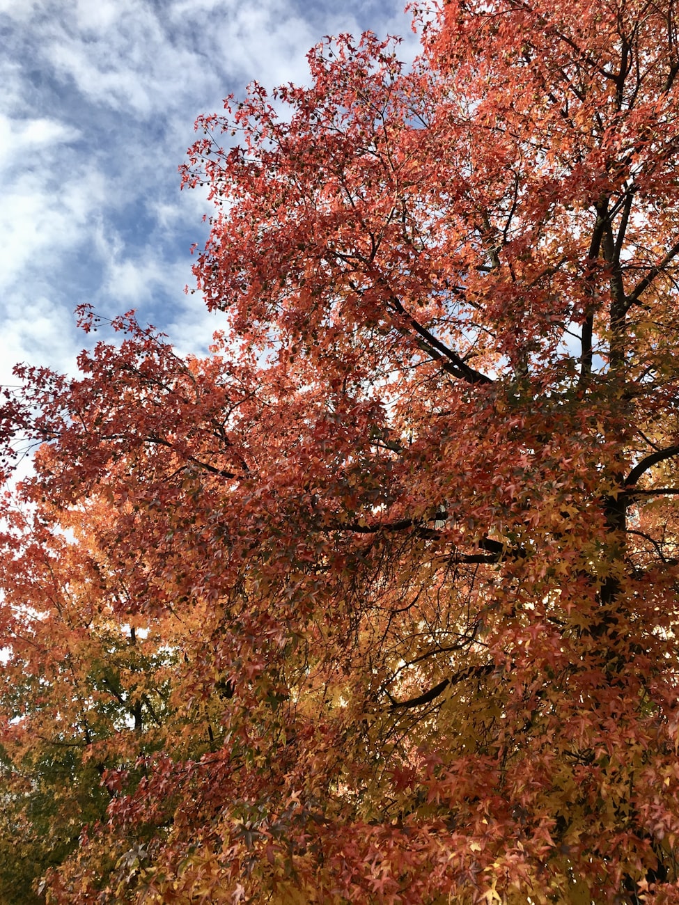 2025年12月 第162页