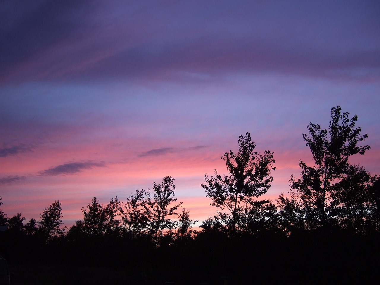 施工项目 第79页