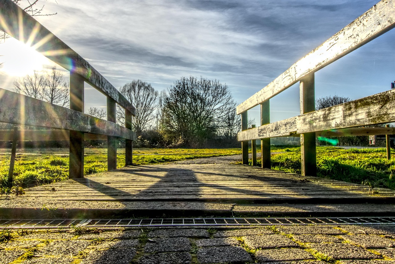 杨紫最新动态,闪耀之星,未来可期